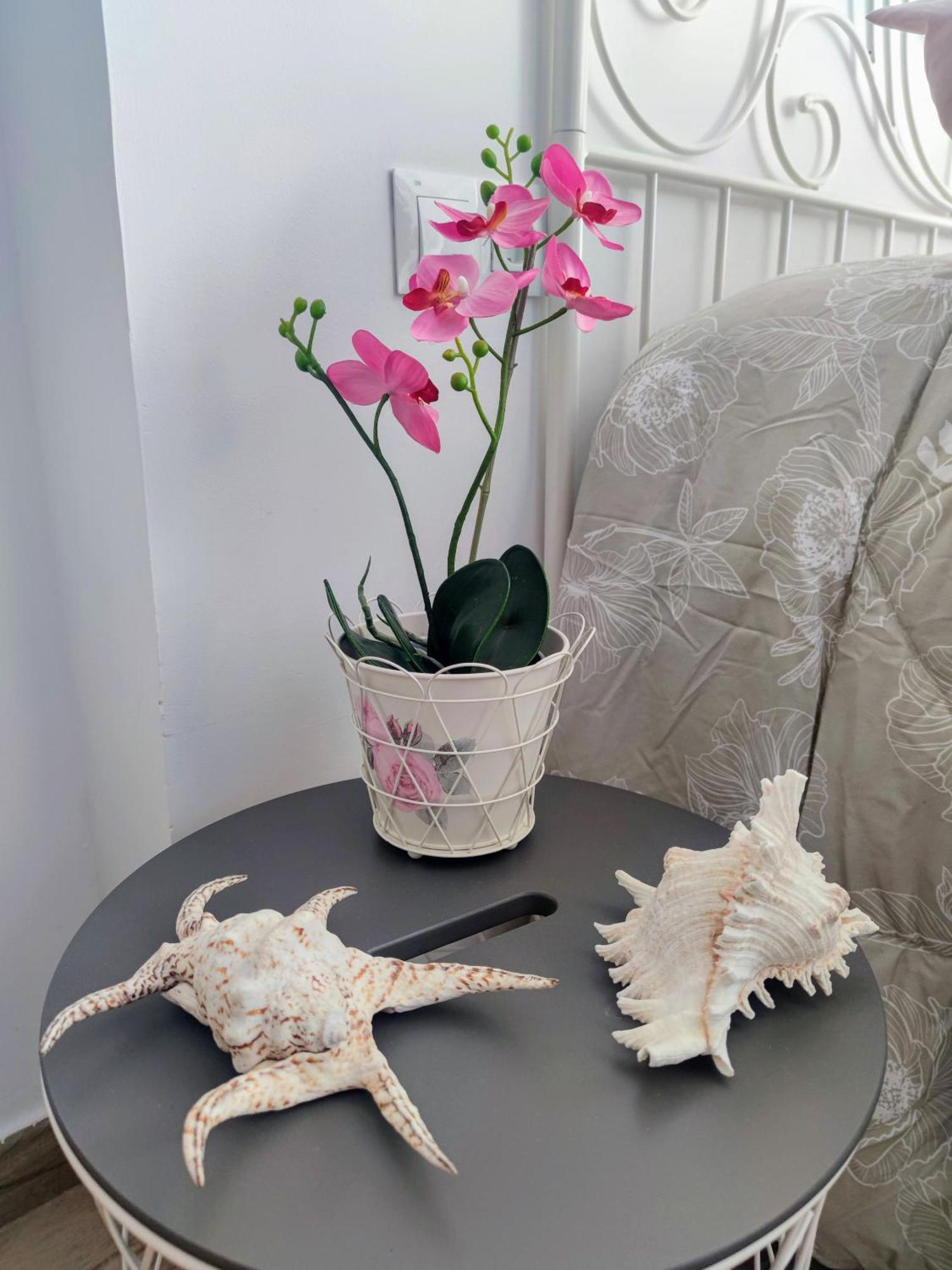 Beach Studio Torremolinos Appartamento *